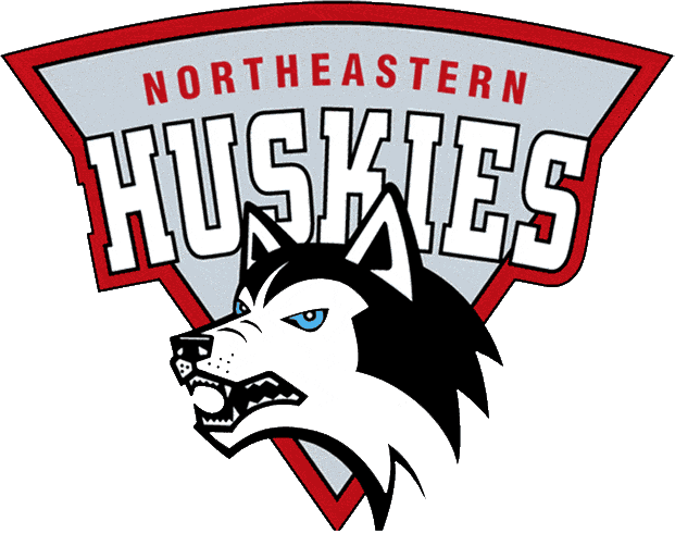 Northeastern Huskies 1992-2000 Primary Logo t shirts iron on transfers